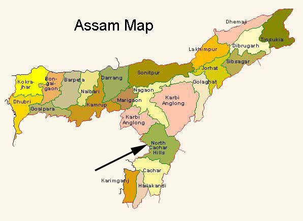 Assam Kopili Estate black tea