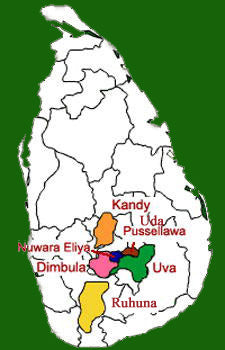 Ceylon tea